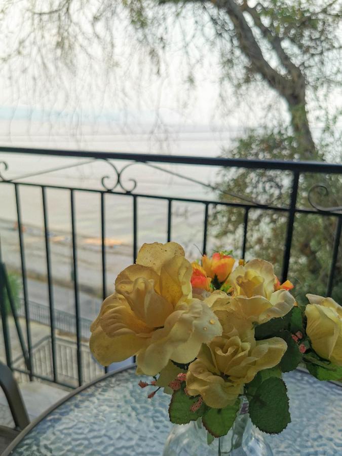 Marina Διαμέρισμα Πέραμα Εξωτερικό φωτογραφία